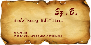 Székely Bálint névjegykártya