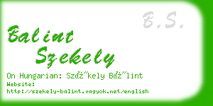 balint szekely business card